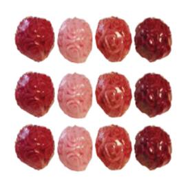 rosas-bolita-2019013064952.jpg