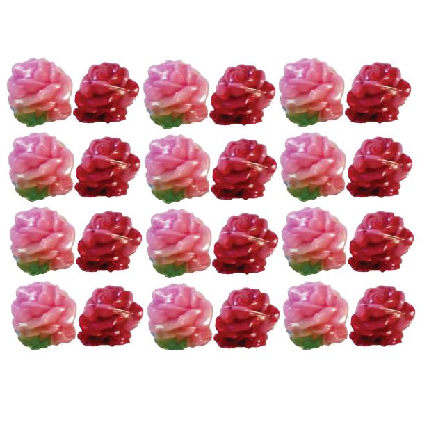 rosas-bulgaria-2019013070345.jpg